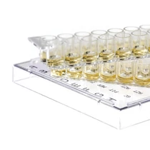 MIC G-II: Enterobacteriacea érzékenységi teszt MIC G-II: Enterobacteriacea érzékenységi teszt