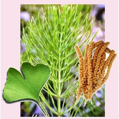 Száj-, köröm-, haj-, lábápolási szerek, kozmetikai készítmények Száj-, köröm-, haj-, lábápolási szerek, kozmetikai készítmények