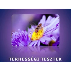 Terhességi tesztek