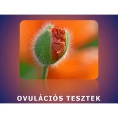 Ovulációs tesztek