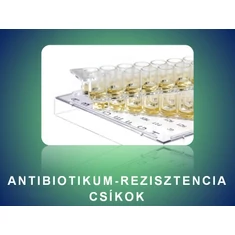 Egyedi antibiotikum tesztek Egyedi antibiotikum tesztek