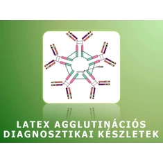 Latex agglutinációs diagnosztikai készletek