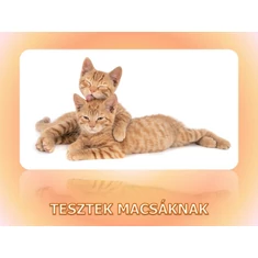 Tesztek macskáknak